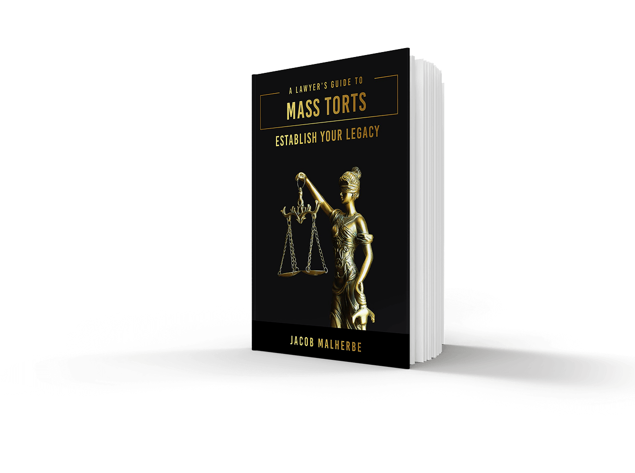 A Lawyer Guide To Mass Tort